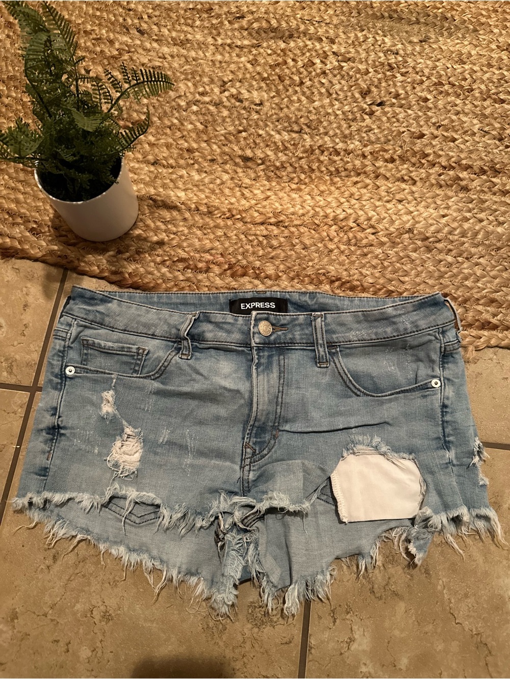 EXPRESS SHORTIES